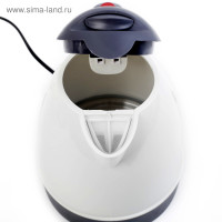  Torso,  1 , 12 , 150 