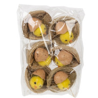 ����� �� 6 ������� ������������ ������ ����������, L17 W11,5 H4 ��