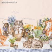 �������� "�����" ������ ����180�147 ��, 100% ������, ����� 190 �/�2