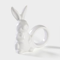 ������ ��� �������� ������ ������, 9,1x4,3x10,5 ��, ���� �����