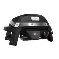   Weber Pulse 1000  