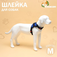  7  ,  ,  52-66 ,  9.5-17.5 , 