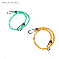     Torso, 60 , D8 ,  , ,  2 