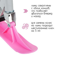 - 2  1 Snow Cat,  100 