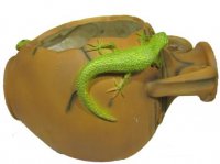 ����� ������� � ��������� 