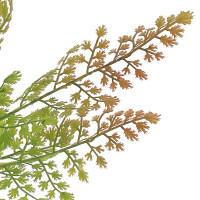 ����� ������������� �����������, L27 W10 H43 ��, 3�.