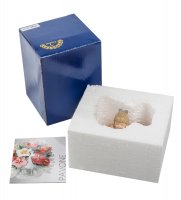 Cms-12/19      (pavone)