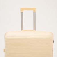   100  (l),   ,  , 4 ,  