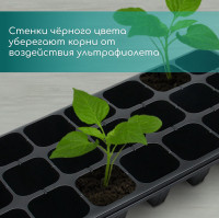     Greengo  21 ,  200 ,  , 54 28 10 