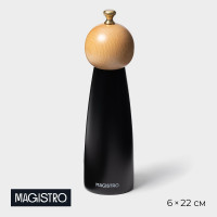    Magistro Ollander, 22 ,  