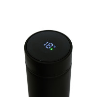 , 500 , Basic " ",  ,   ,   10 