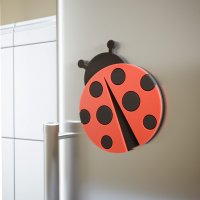    Coccinelle 