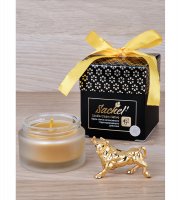 Set-01       -