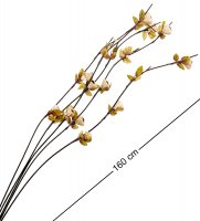 Df-02 ��������� ����������