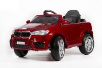  Barty Bmw X5 (m004mp)   ,  Eva (