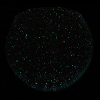 ���� ���������� � �������, L24 W24 H20,5 ��