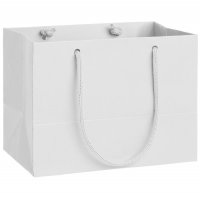 ����� Ample Xs, �����