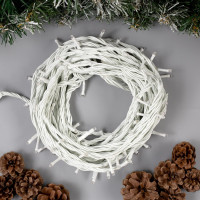   10 , Ip44, ,  , 100 Led,  , 220 