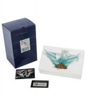 Pr-sd08        (museum.Para