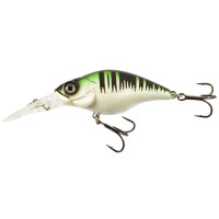  . Lj Original Shady Crank F, 6 ,  A024