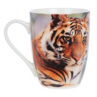 ������ ����, L8,5 W5,2 H10,5 ��, 2 �.