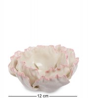 Cms-06/ 5   (pavone)