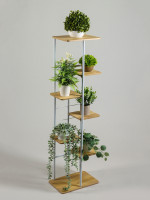    Greengo, 7 , 36 23 120 , ,  ,  , 