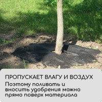  , D=1 ,  60 / ,   -,  2 ., , Greengo,  20%