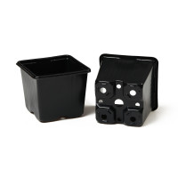 ������ ��� �������, 320 ��, 8 8 7 ��, ������, Greengo