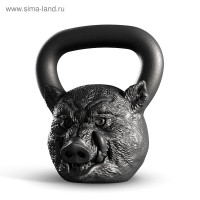 ���� ������� 12 ��