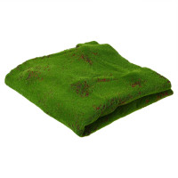  , ,  1   1 , , , Greengo
