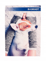 ������� �6, 40 ������ � ������ �� ������� ������� � ������, ������� ���������� ������, ����