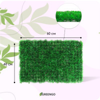  , 60 40 , , Greengo