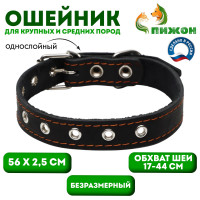   , , 56 2.5 ,  17-44 , 