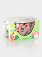 ����� ���������� �������� "����. ������", 3 ��., 1700/900/300 ��, ������, ����������, �������