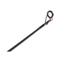 ������� �������� Salmo Diamond Carp, ���� 1-120 �., ����� 3,6 �.