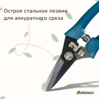  , 7 (18 ),   ,  , Greengo
