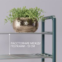 �������� ������, 4 �����, 50x19x59 ��, ���� �����