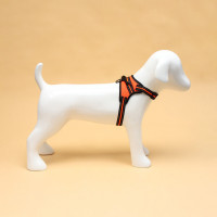   7  ,  S,  44-55 ,  5-9 , 