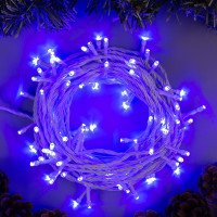   10 , Ip20,  , 100 Led, 8 , 220 ,  