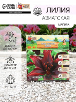   ,     , - 12/14, 3 .