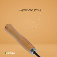 ,  25 ,  , Greengo