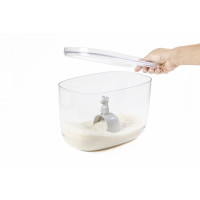     Qualy Lucky Mouse, 7 