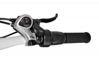 Smart Electric 2 Fork