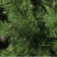   Royal Christmas Standard Promo Pvc 120
