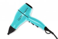    Elfin 1900