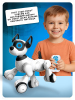   Koddy Iq Bot,   , : , , , ,  