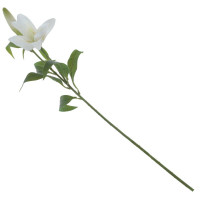 ������ ������������� �����, L26 W12 H84 ��