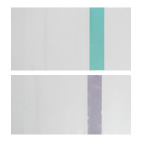    5 , 230  450 , 80  Calligrata,  , 