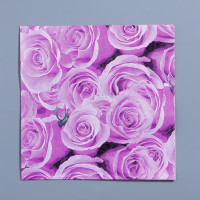   , 33x33 ,  20 .,  